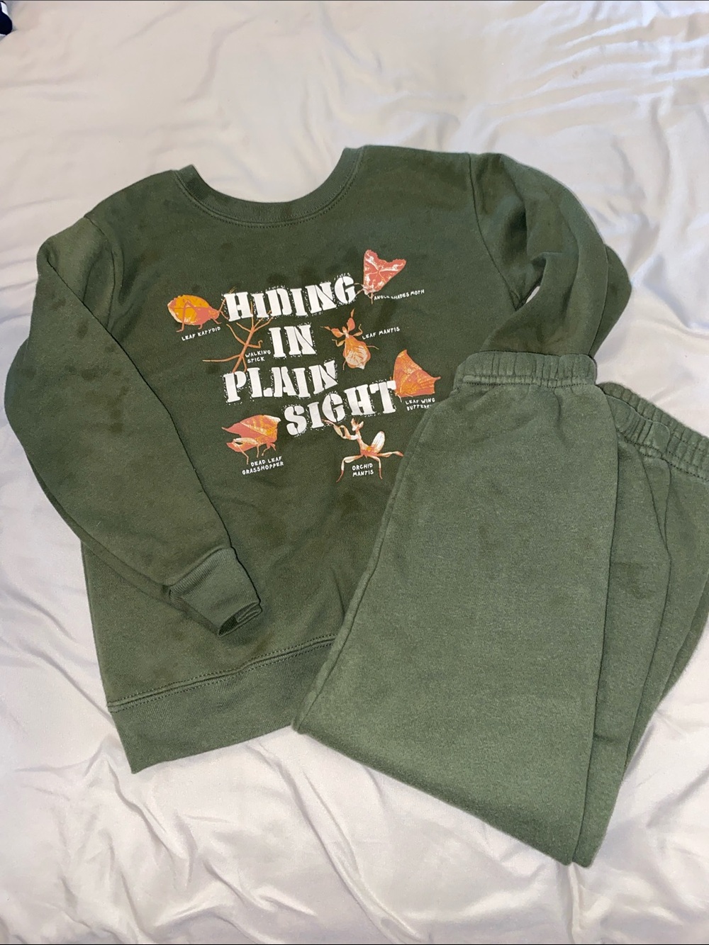 Garanimals Green "Hiding in Plain Sight" Kids Sweatshirt & Pants Set